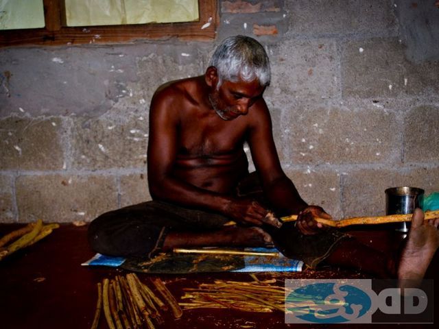 img00009_cin.jpg